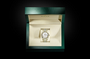 Rolex Day-Date 40 watch in Gold and Light dial at John Pass, official Rolex retailer. Ref: M228238-0042, in box
