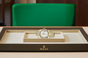 Rolex Day-Date 40 watch in Gold and Light dial at John Pass, official Rolex retailer. Ref: M228238-0042, on tray